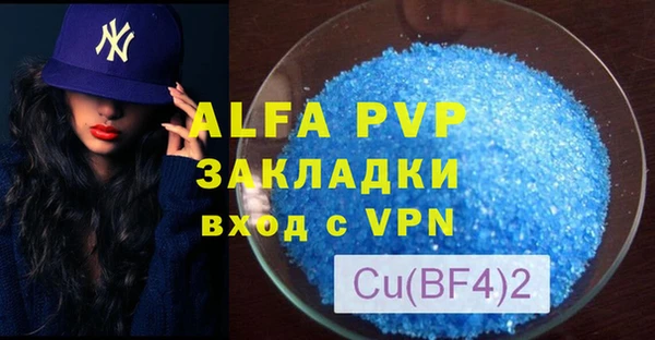 шишки Дмитровск