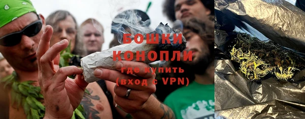 шишки Дмитровск