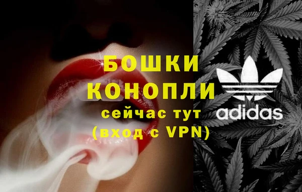 шишки Дмитровск