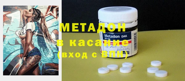 шишки Дмитровск
