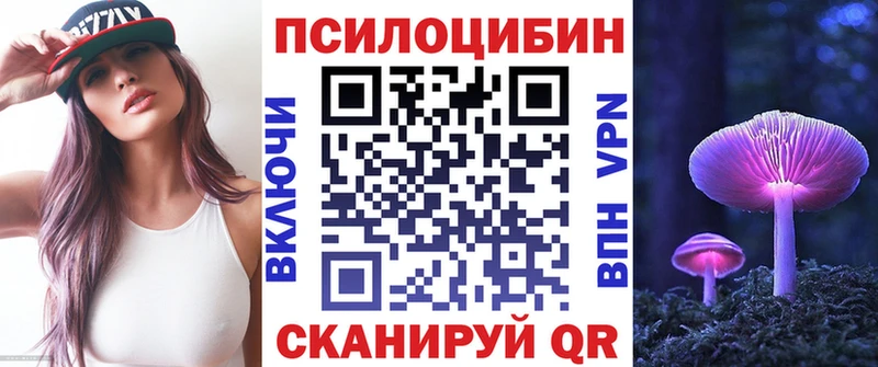 Купить закладки  Ртищево  Псилоцибиновые грибы ЛСД 